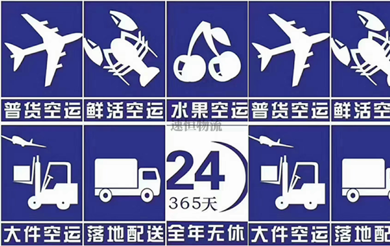 广州国内航空运输